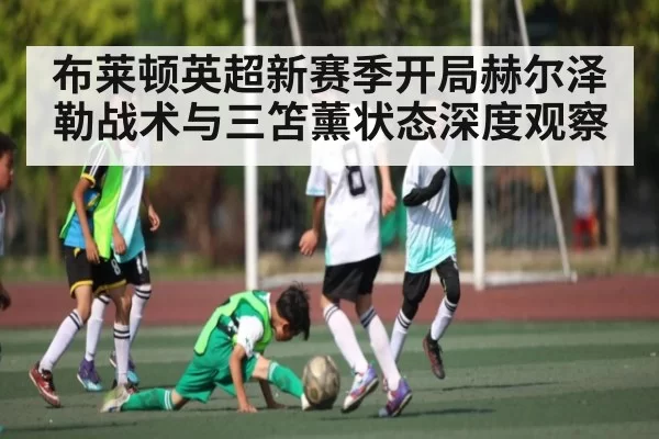 布莱顿英超新赛季开局赫尔泽勒战术与三笘薰状态深度观察